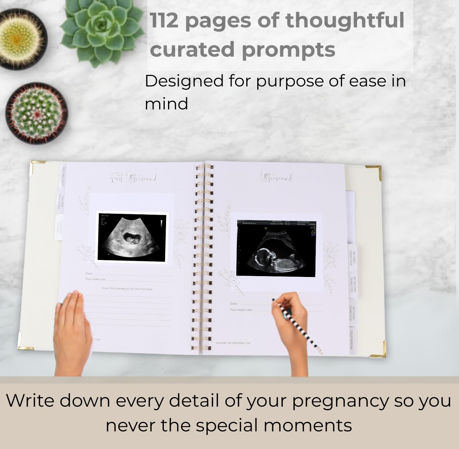 Petal & Pearl PP minimalist design supports calm, focused journaling.