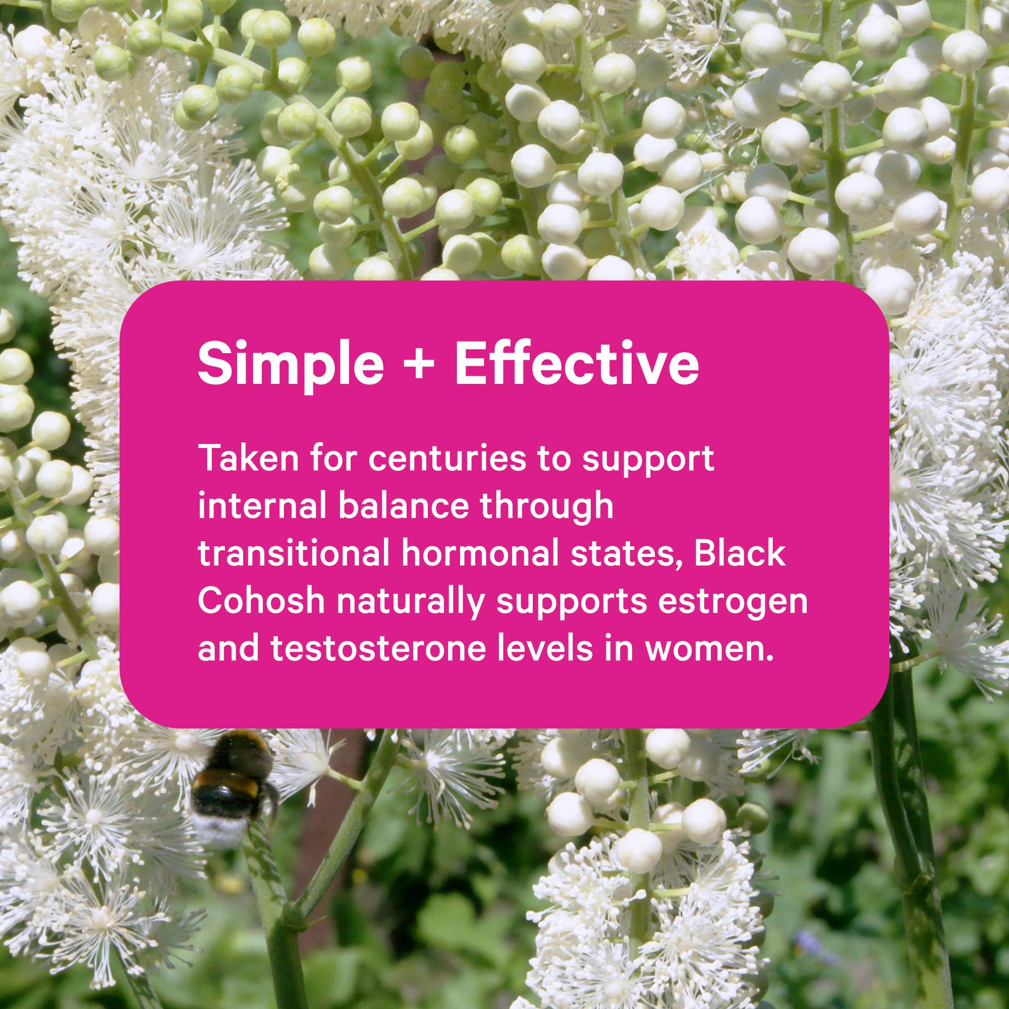 Pink Stork Black Cohosh UV-protected bottle preserves freshness and potency.