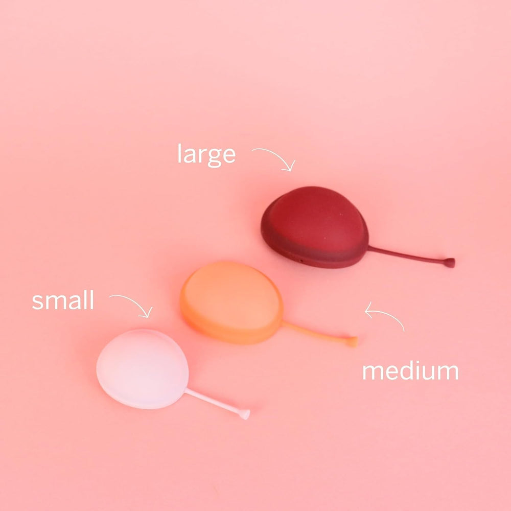 Pixie Disc instruction guide helps first-time users.