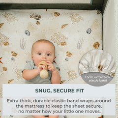 Pobibaby two designs in package for quick style swaps.