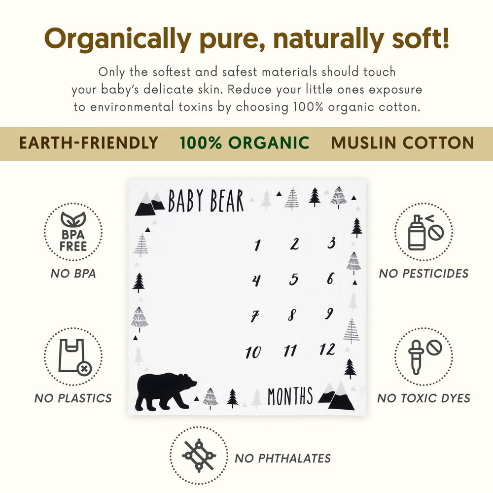 High-contrast woodland bear design on Pondering Pine blanket