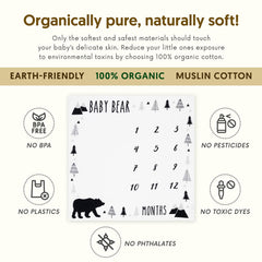 High-contrast woodland bear design on Pondering Pine blanket