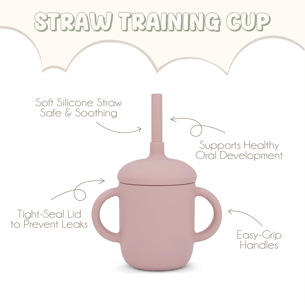 Pookiboo spill-proof cup with straw and lid keeps liquids contained