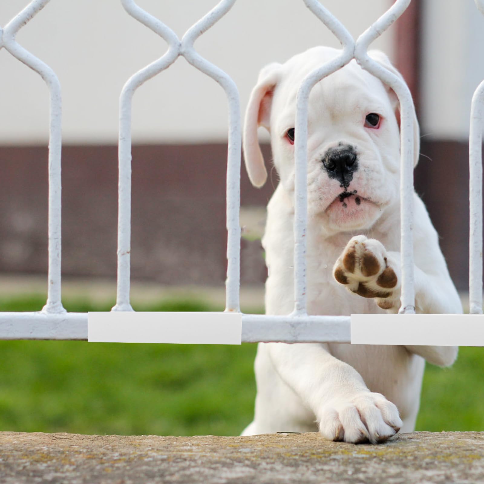 POPETPOP Lightweight Gate Reinforcement offers quick, safe stabilization.