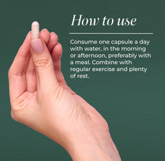 Primal Harvest Meno+ ingredients closeup showcases balance-focused herbal blend.