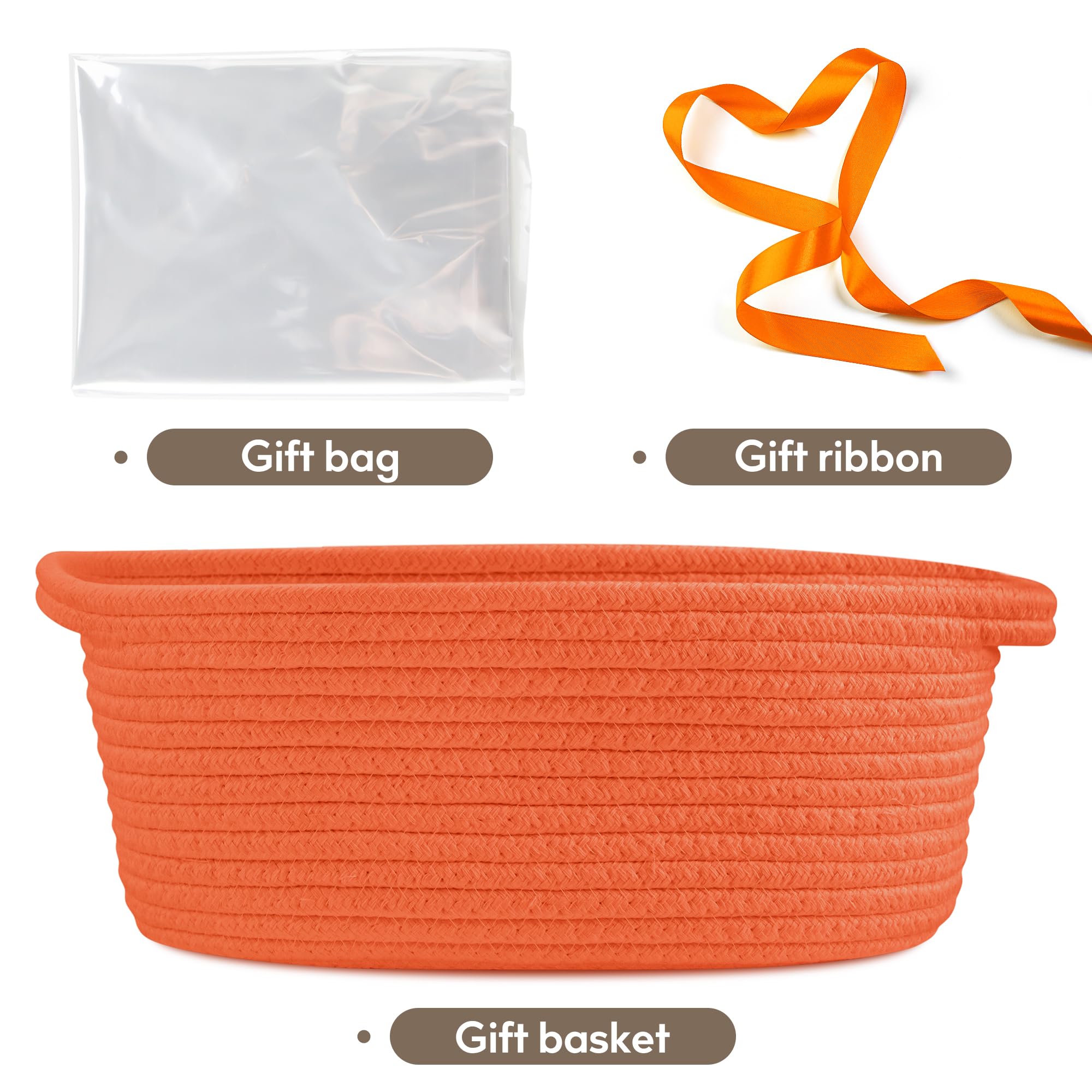 Pro Goleem basket measures 12x8x5 inches for compact storage.