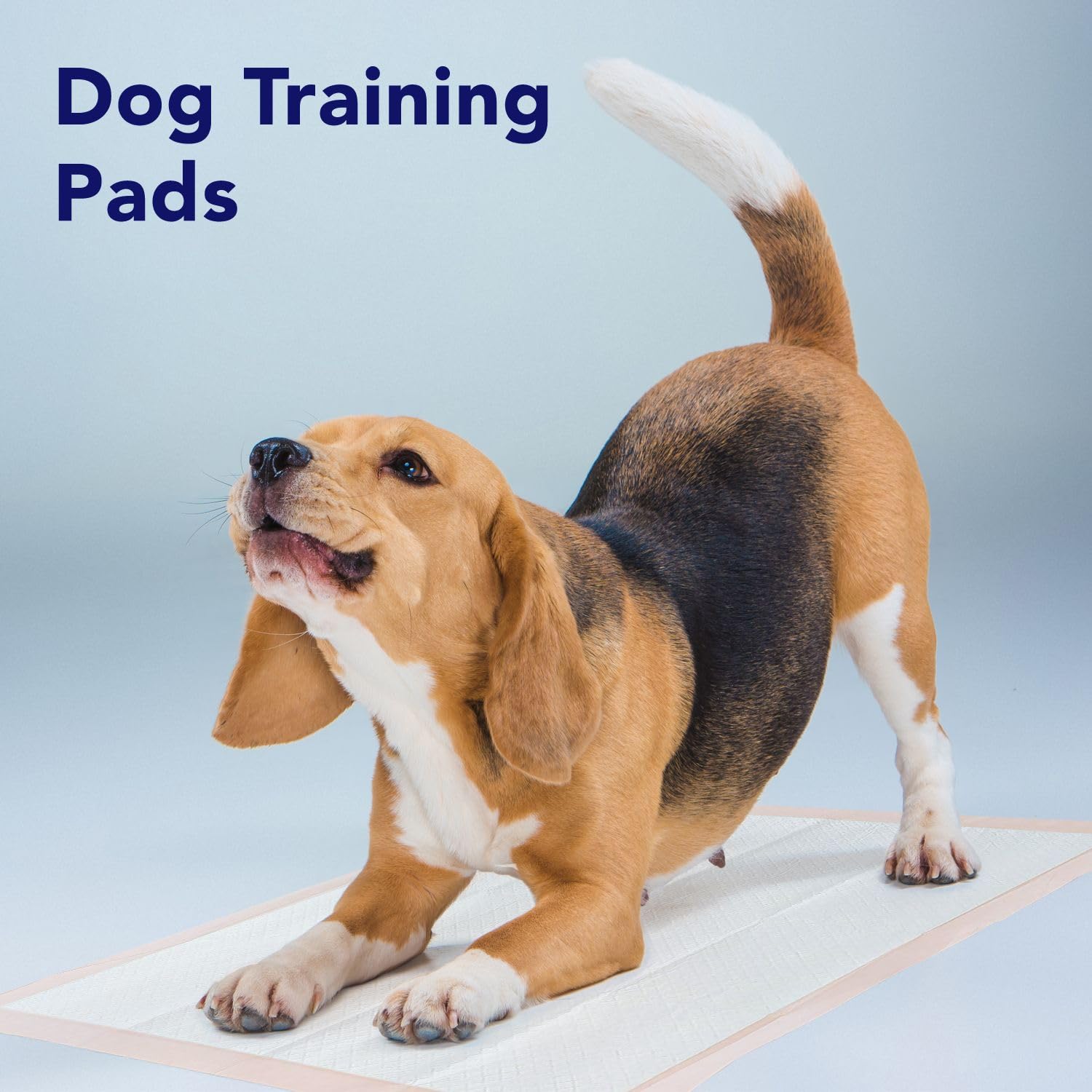 Versatile underpads protect beds, couches, and chairs beyond medical use.