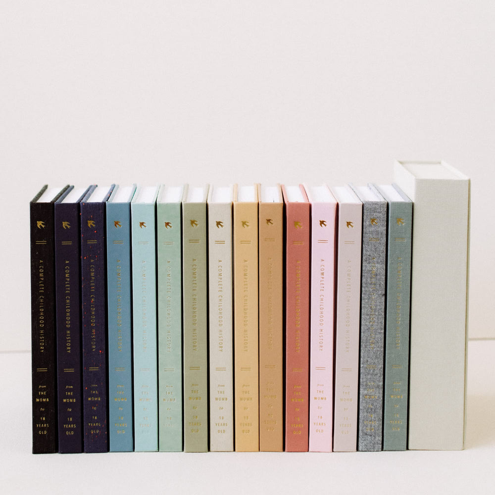 Promptly Journals baby memory book layout captures milestones from pregnancy to 18