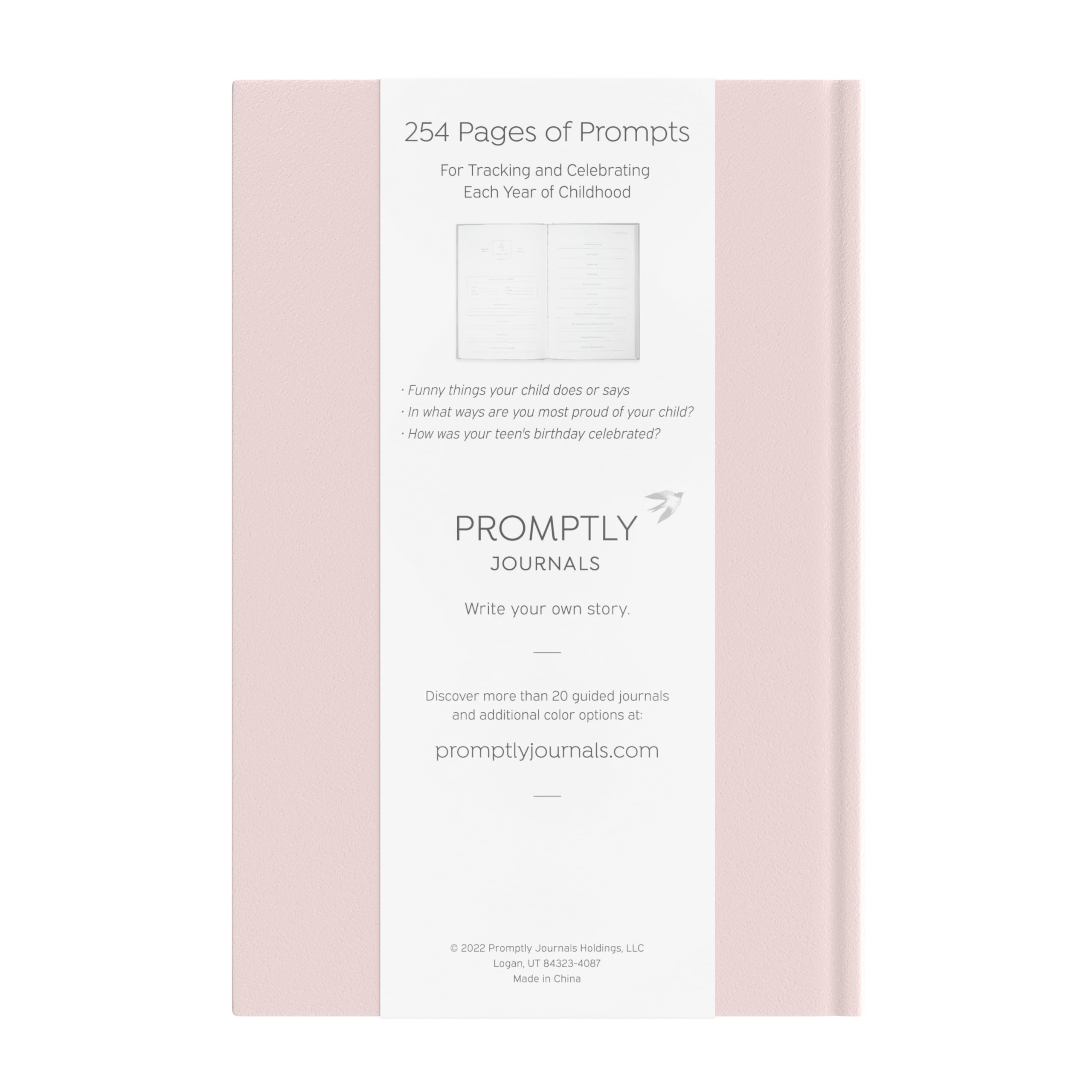 Pregnancy journal pages guiding reflections from pregnancy to birth milestones