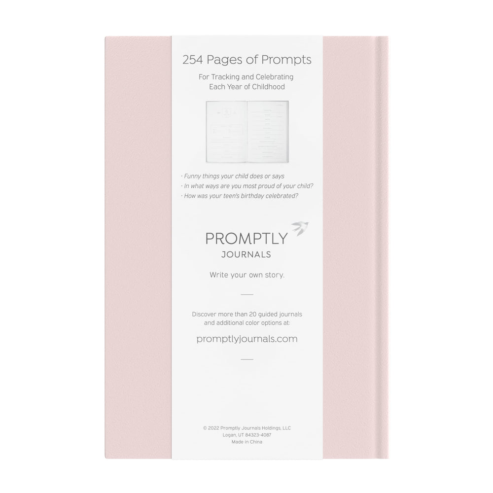 Pregnancy journal pages guiding reflections from pregnancy to birth milestones
