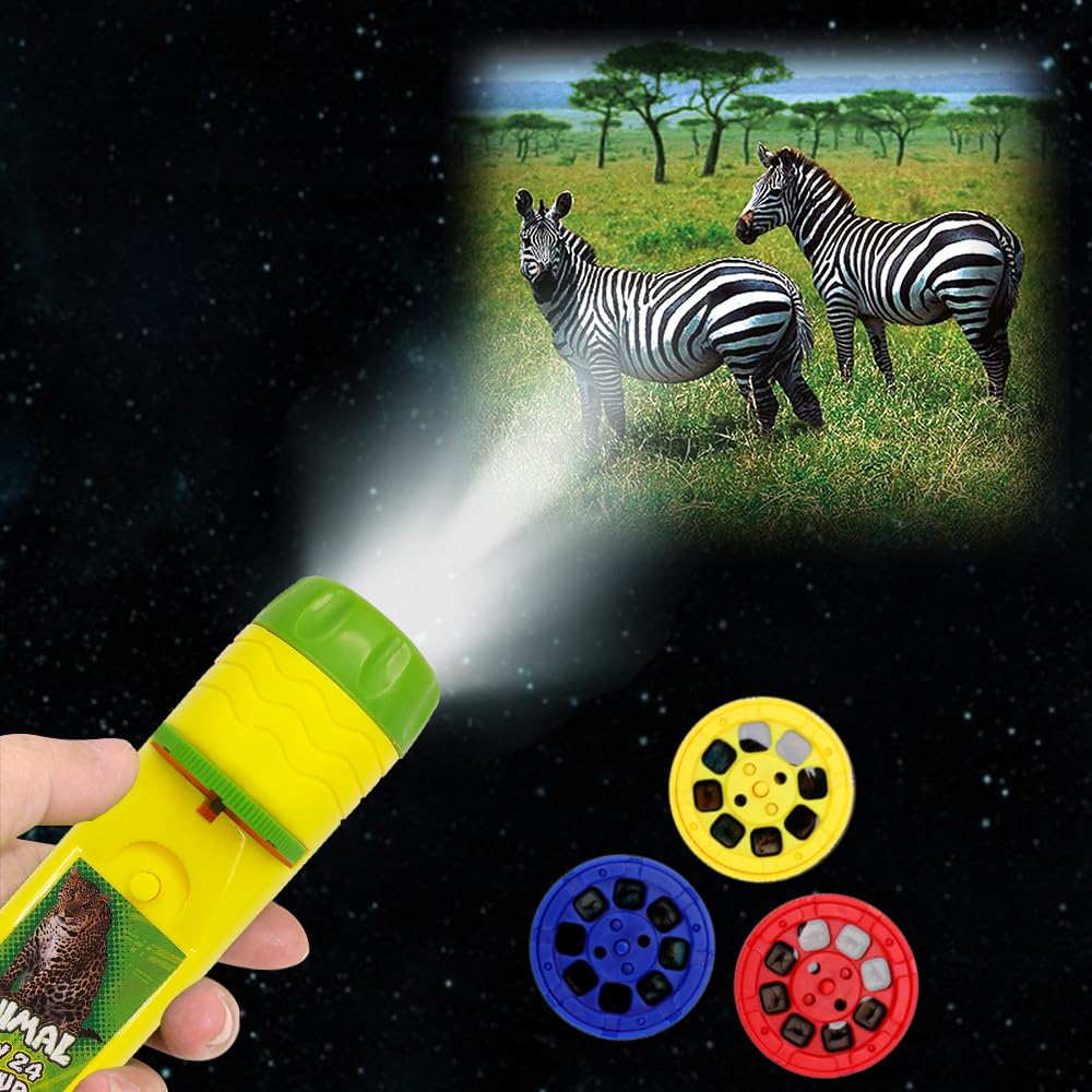 Pup Go tyrannosaurus image displayed on wall to spark imagination.