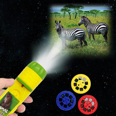 Pup Go tyrannosaurus image displayed on wall to spark imagination.