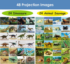 Pup Go lion image projected to explore the animal world and stories.