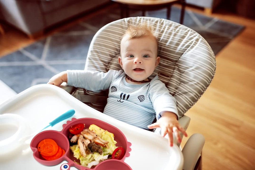 Qshare toddler plate freezer-safe for cold snacks and storage