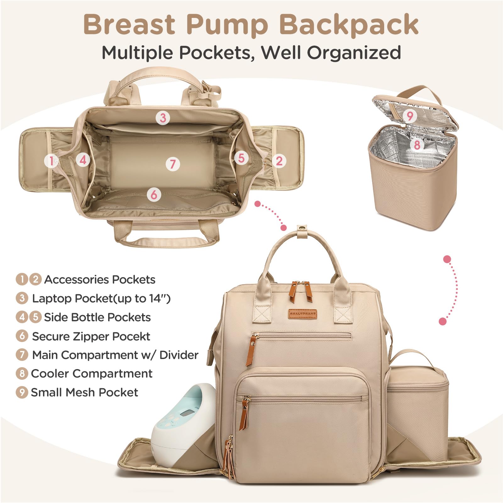 Qualyphant insulated cooler compartment keeps bottles cold during commutes.