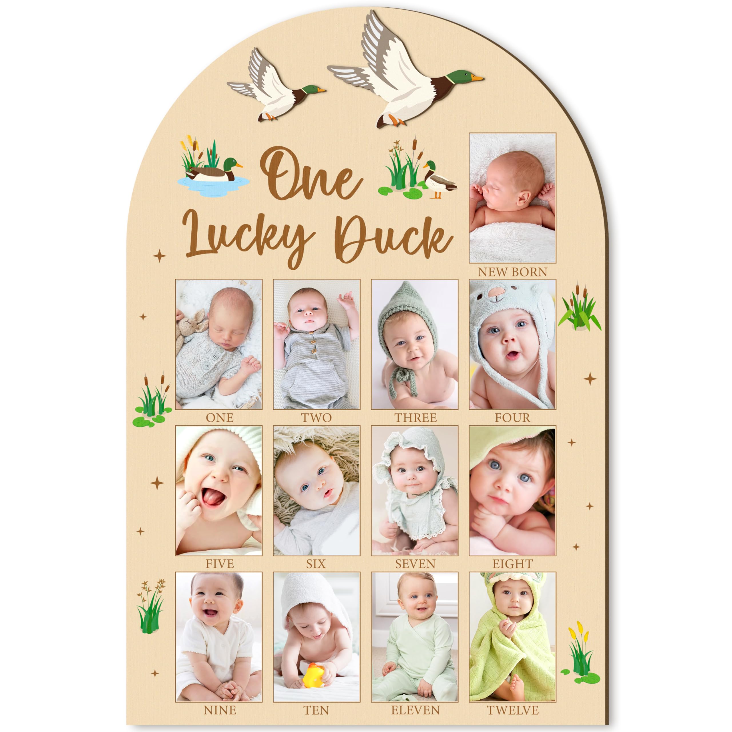 R HORSE 3D Mallard Duck photo board front view for nursery memories.