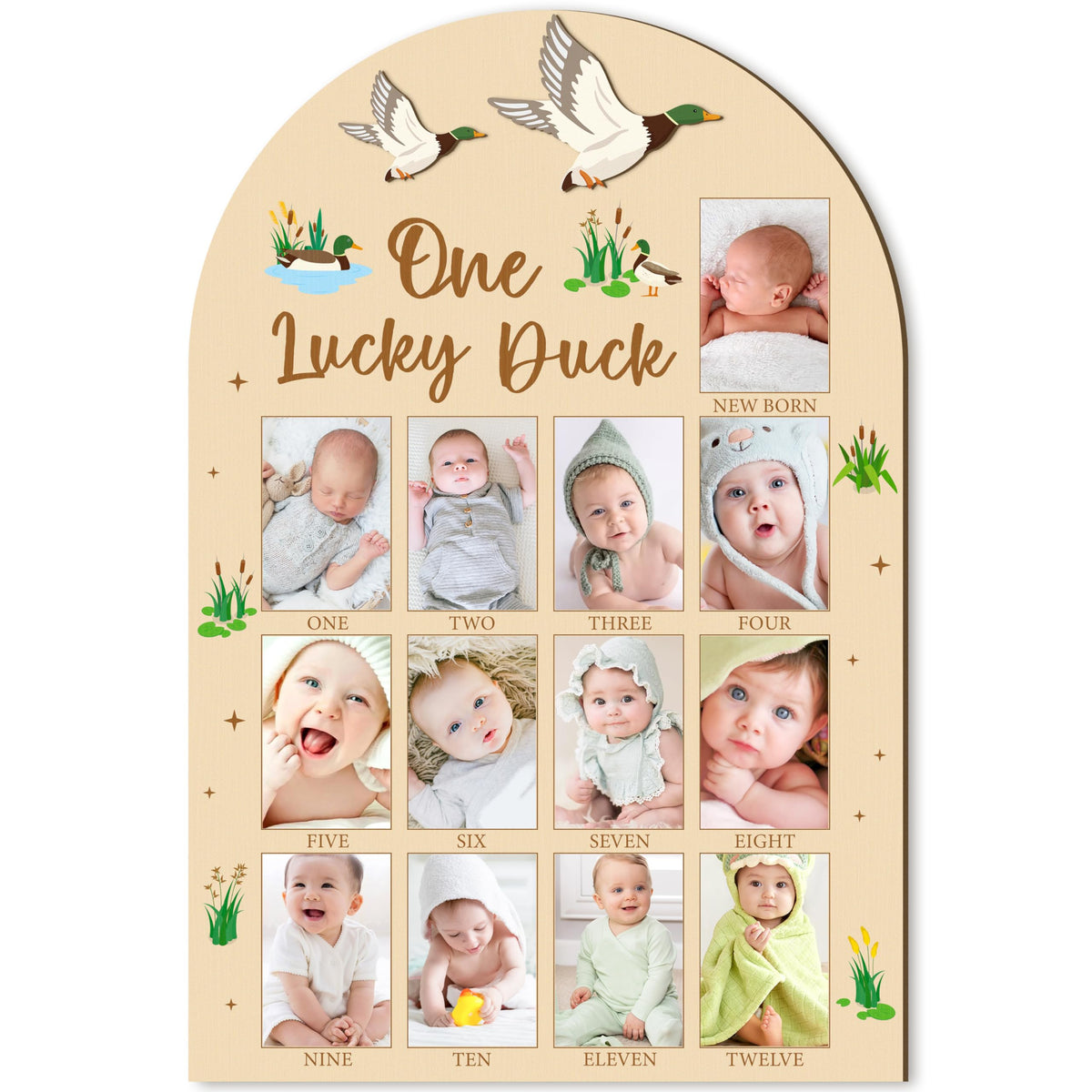 R HORSE 3D Mallard Duck photo board front view for nursery memories.