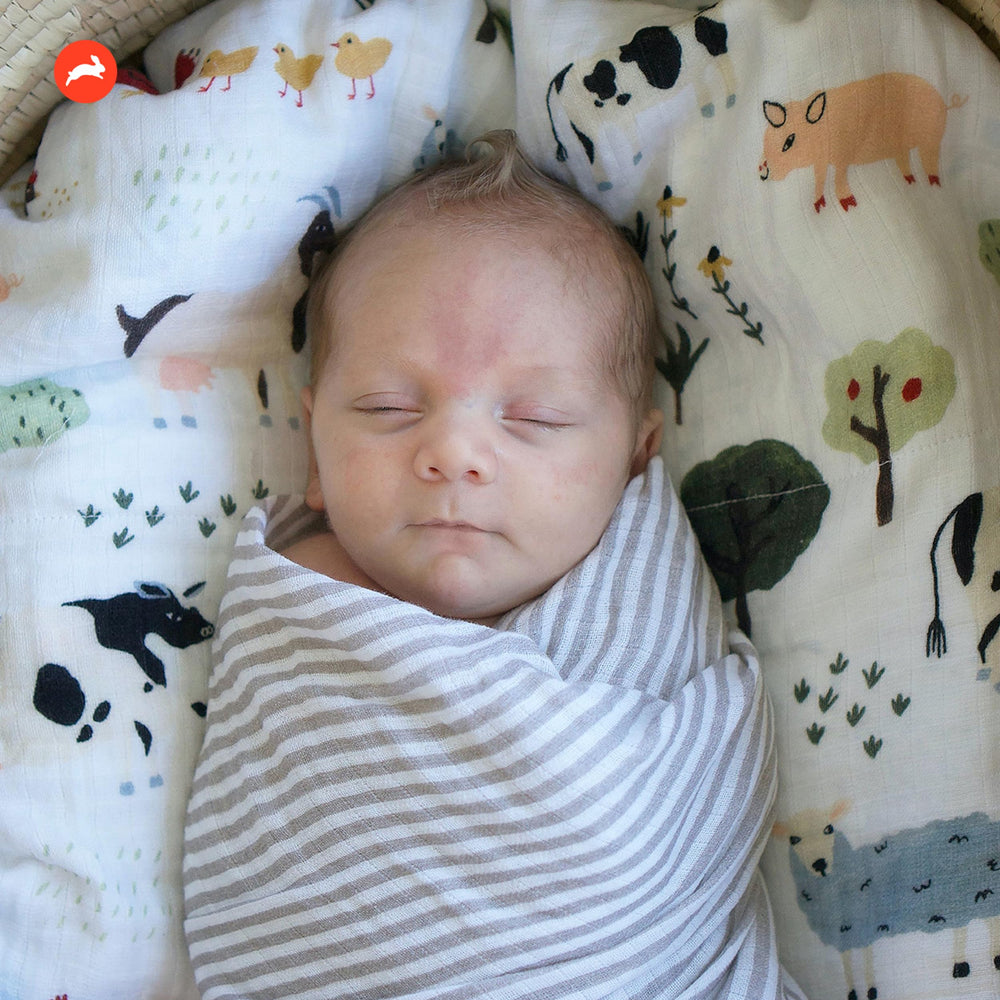 Red Rovr swaddle works indoors and outdoors for versatile everyday use.