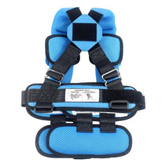 In-car setup showing lap belt compatibility with RideSafer