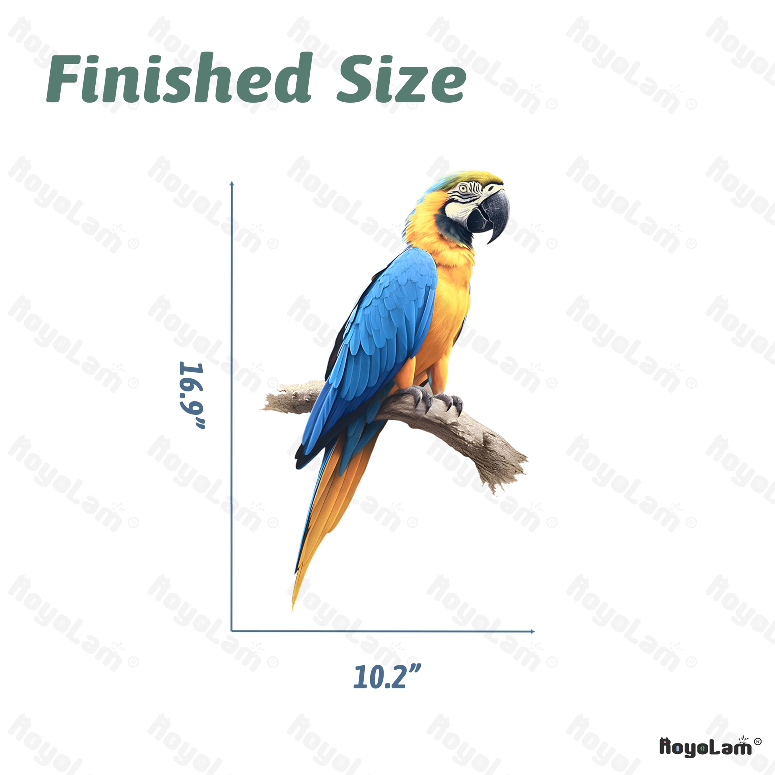 RoyoLam blue-yellow macaw wall art inspires curiosity during daily routines.