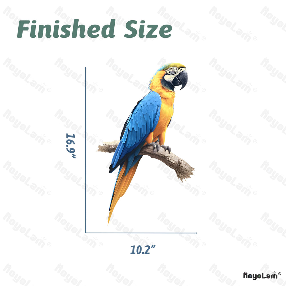 RoyoLam blue-yellow macaw wall art inspires curiosity during daily routines.