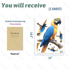 RoyoLam kid bedroom decal brings cheerful tropical charm to walls and imagination.