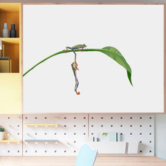 RoyoLam red-eyed tree frogs wall decal close-up shows bright colors for kids.