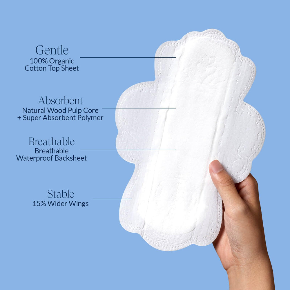 RPE Life regular absorbency design for everyday protection
