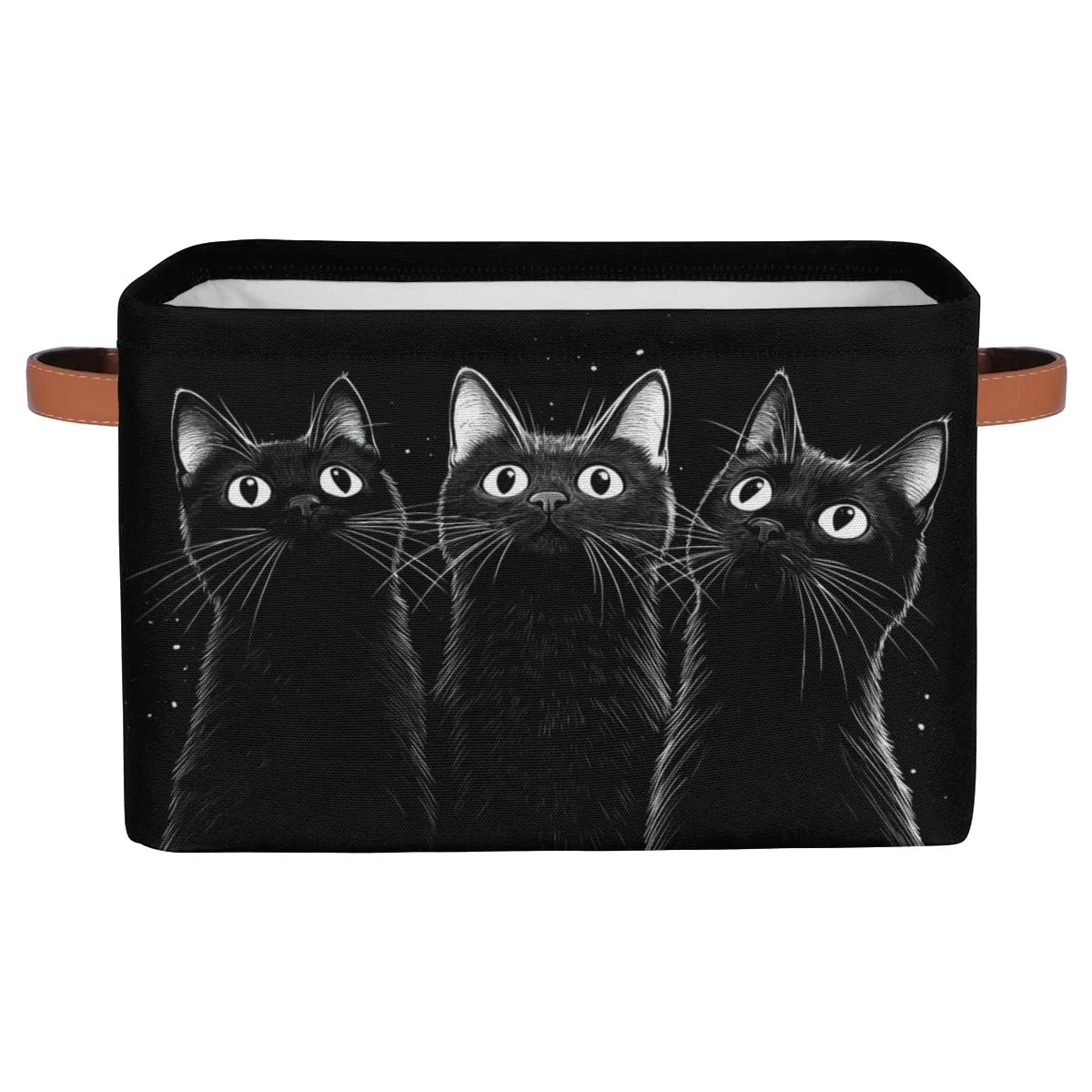 RPWOBBYQ Curious Black Cats storage box front view ideal for neat shelves