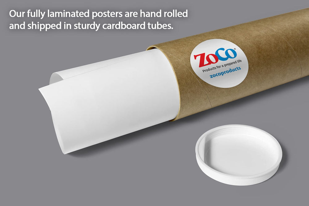 Safety Magnets ZOCO daycare classroom poster uses clear illustrations for quick reference.