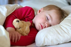 SAHARBEDDINGS Toddler Travel Pillowcase 12x16 pack of 2, convenient set