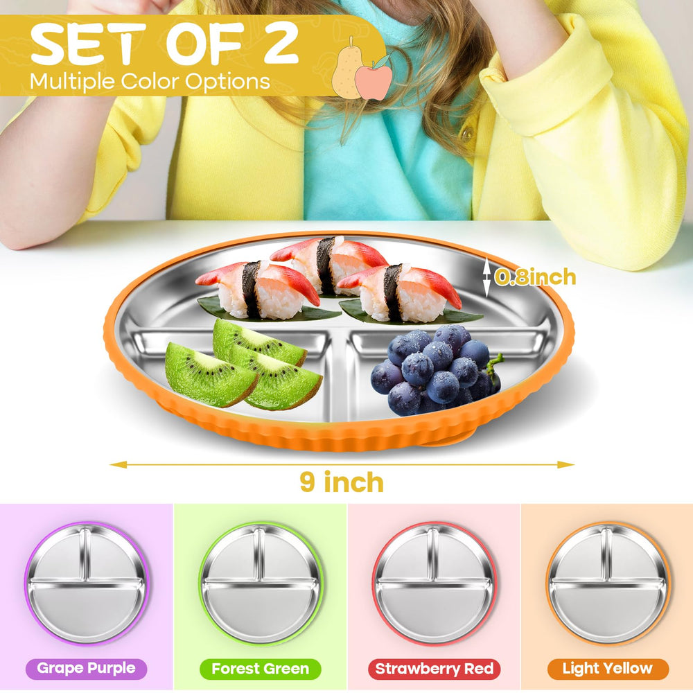 Semloo stainless steel divided plate shows three zones for balanced portions.