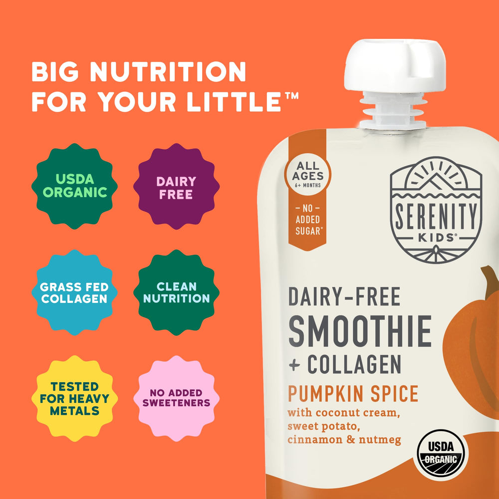Serenity Kids Pumpkin Smoothie Pouch served as a kid-friendly snack.
