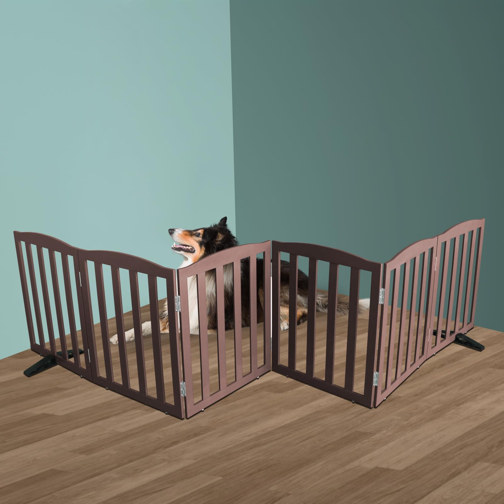 SFJC dog gate wide-open area helps create pet-free zones