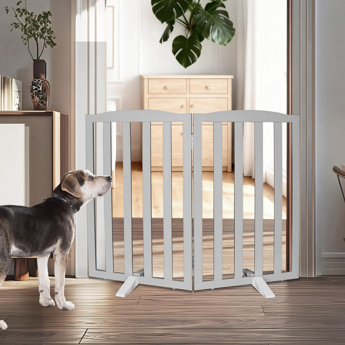 SFJC freestanding dog gate setup blocks doorway while preserving floor finish.