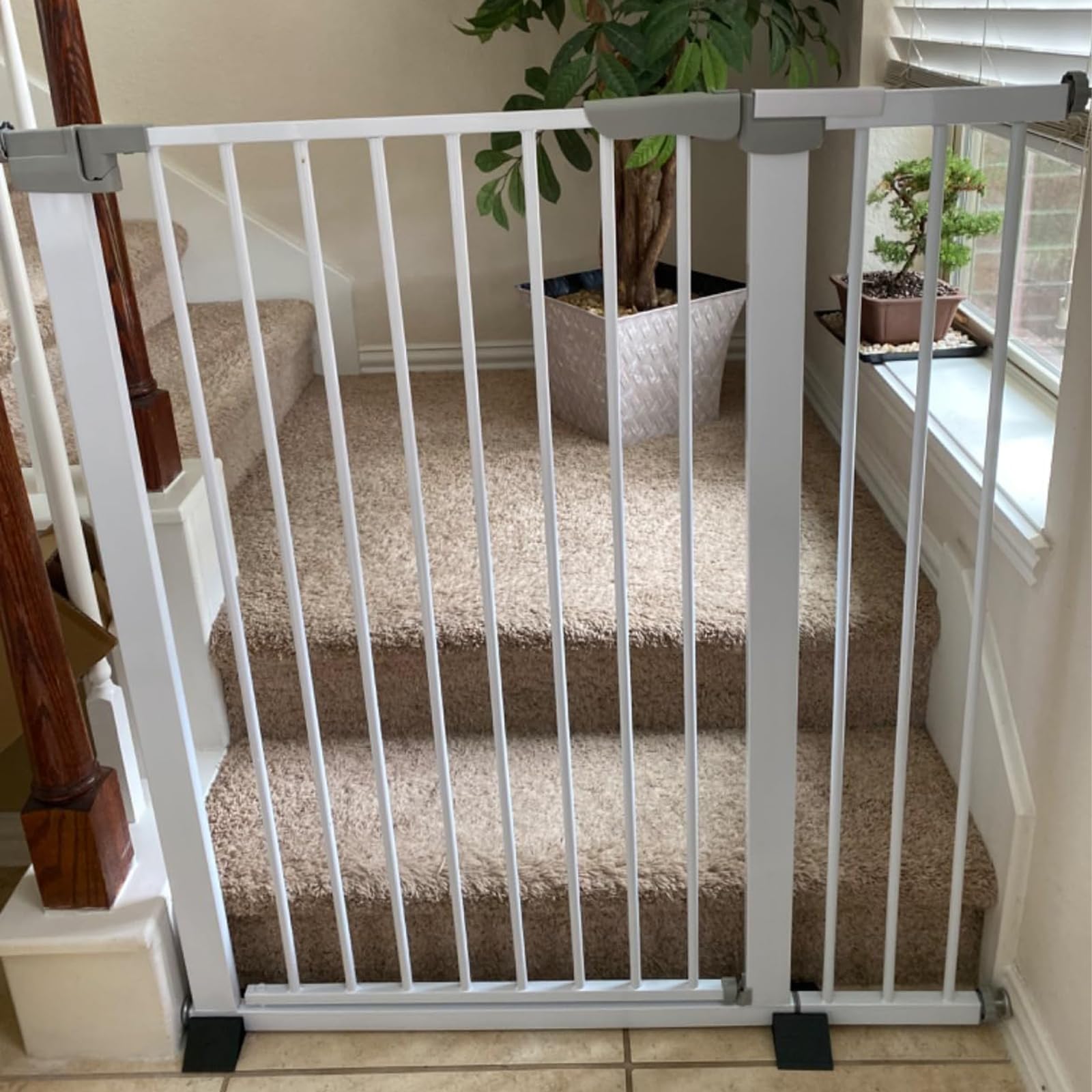 SHYUJAJIE dual-lock safety design provides one-handed adult access and child resistance.