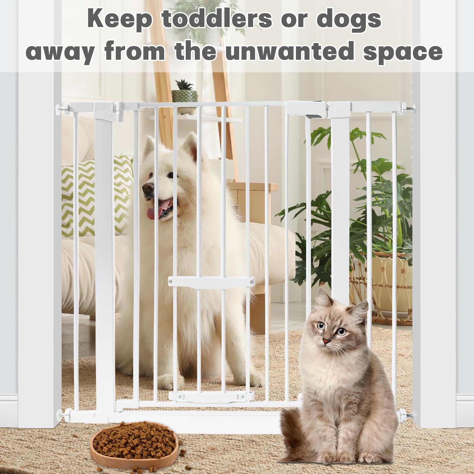 Ideal for households with multiple pets and curious cats