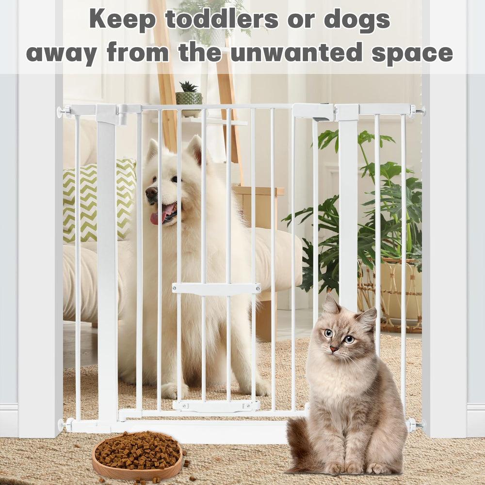 Ideal for households with multiple pets and curious cats