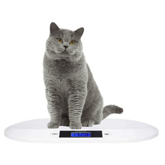 SIKE Feline Scale digital display shows quick weight readings for pets in kg or lb.