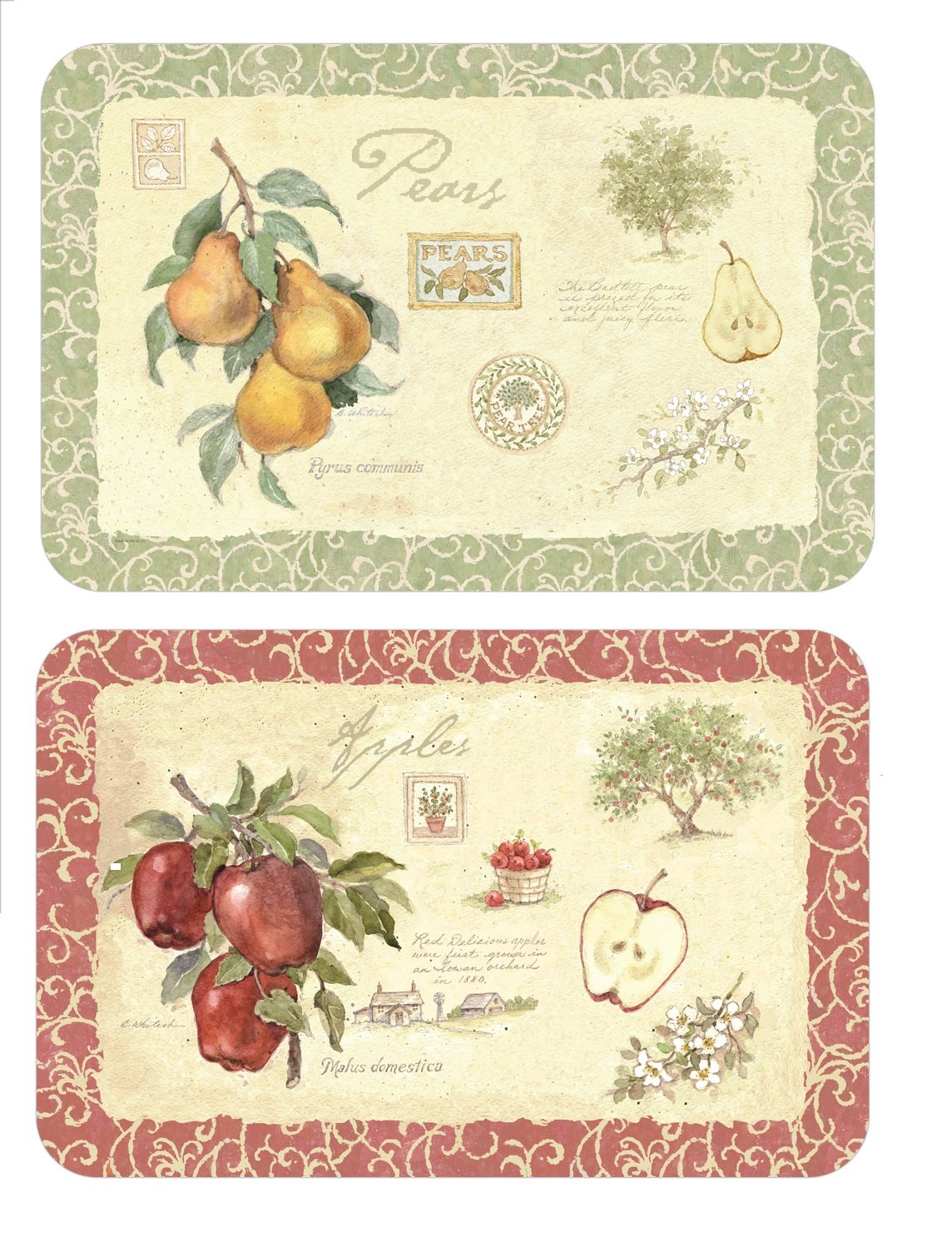 Silver Coast Creations wipe-clean placemats, Old Orchard Apple/Pear design, ideal for easy family meals.