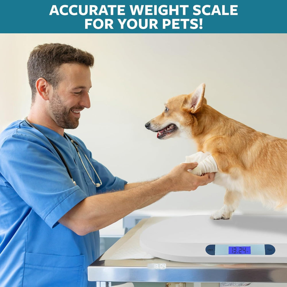 Smart Weigh Digital Scale lb/oz/kg readout supports flexible units.