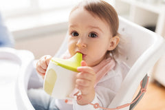 Socub Sage stroller attachment showcase for on-the-go use
