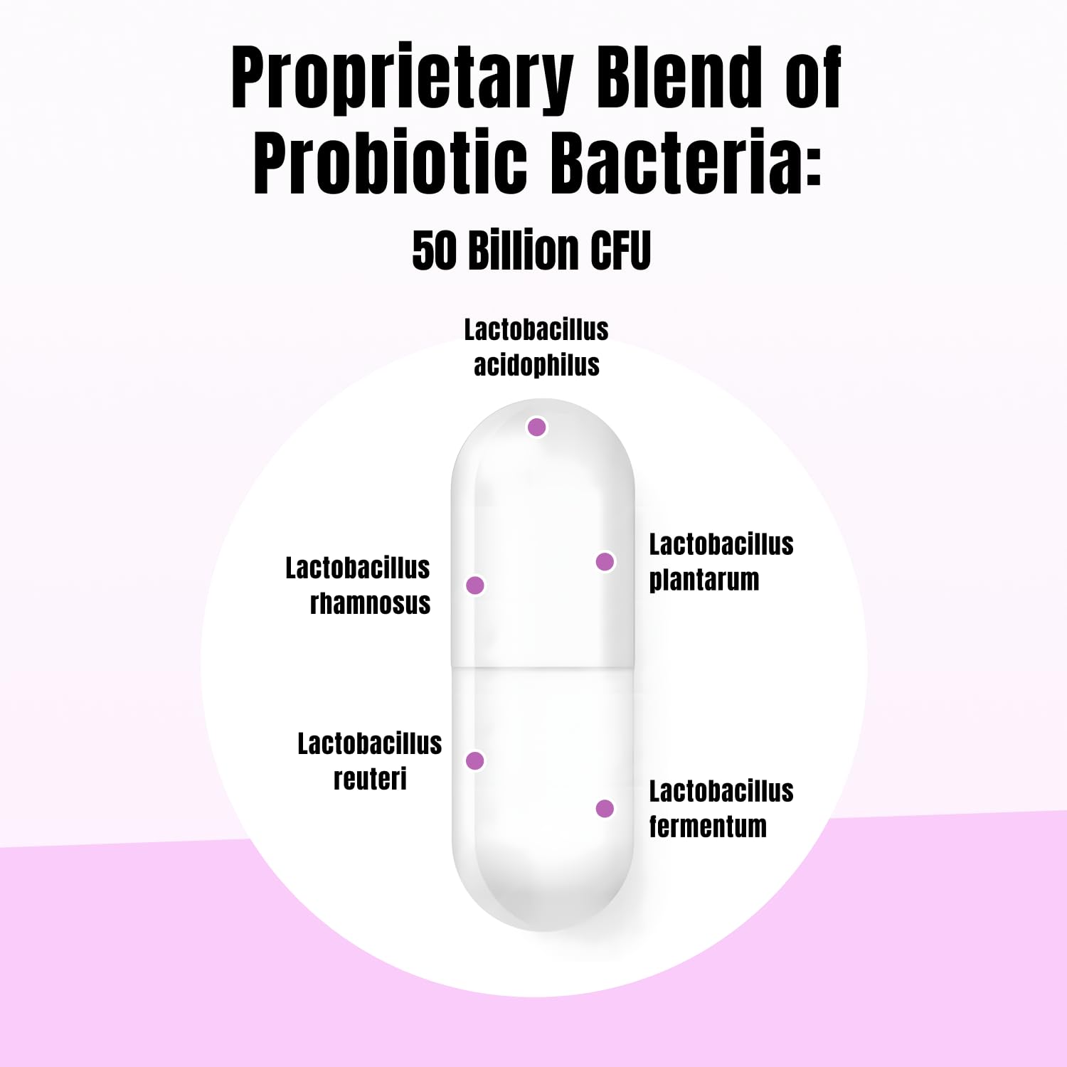 Closeup of BioBloom capsules ready for daily probiotic intake.