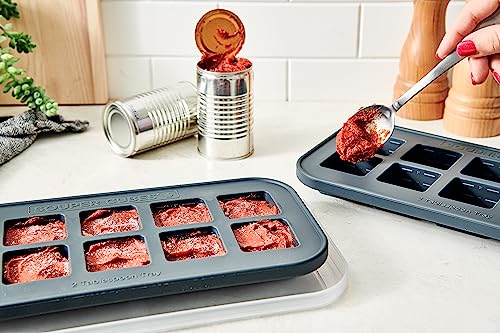 Top view of charcoal Souper Cubes molds for herbs and garlic.
