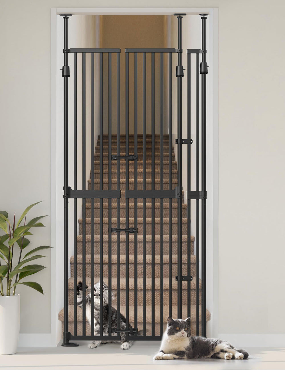 Sprouterie extra tall cat gate in doorway keeps pets contained and doors safer.