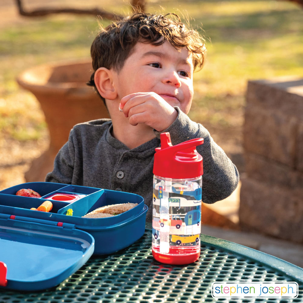 Dino-pattern Stephen Joseph bottle ideal for school use