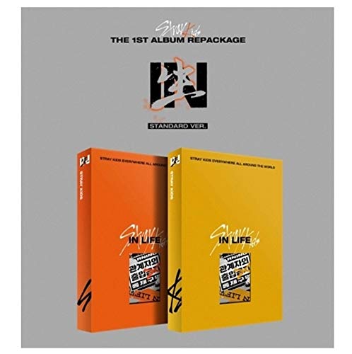 Stray Kids Inlife album CD cover for official packaging display