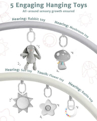 Suihuooo detachable toys highlight grasping and tactile play opportunities.