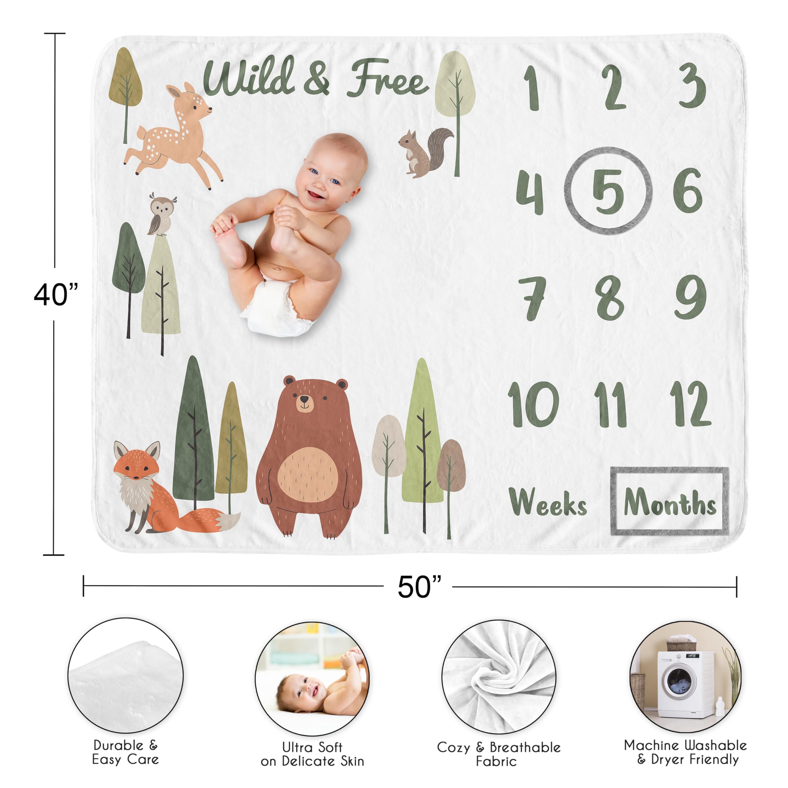 Sweet Jojo Designs soft minky fabric blanket adds cozy comfort for snuggling and photos.
