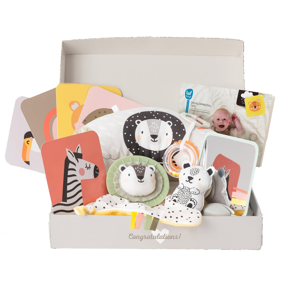 TAF TOYS newborn 12-item kit promotes sensory play and early development
